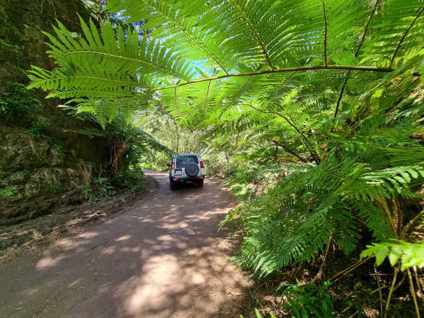 Madeira: Picturesque Peaks and Skywalk private 4x4 Jeep tour - Cabo Girão Skywalk: 580m Seacliff Views and a Small Entrance Fee