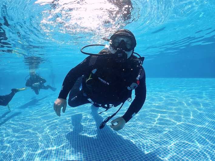 Madeira, Ponta São Lourenço: Scuba Diving for Beginners - Key highlights worth your attention