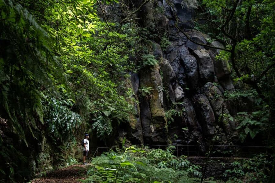 Madeira: PR 9 - Levada do Caldeirão Verde Hike Transfer - The short connector on PR9.1: why you start with a warm-up