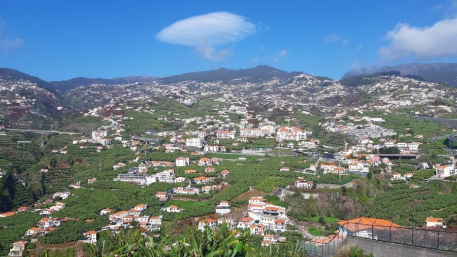 Madeira: Private Banana Farm Tour with Pickup - Price and Value: Is $212 for Up to 4 a Good Deal?