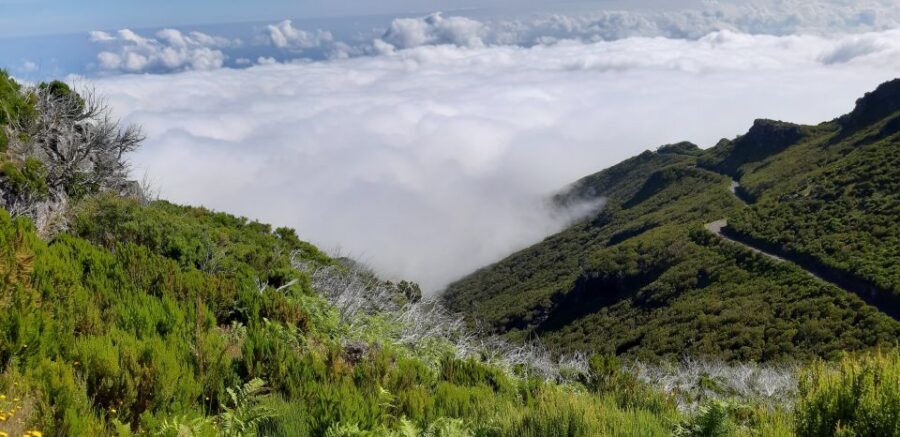 Madeira: Private Guided Achadas Teixeira - Pico Ruivo PR1.1 - Key Highlights to Know Before You Go