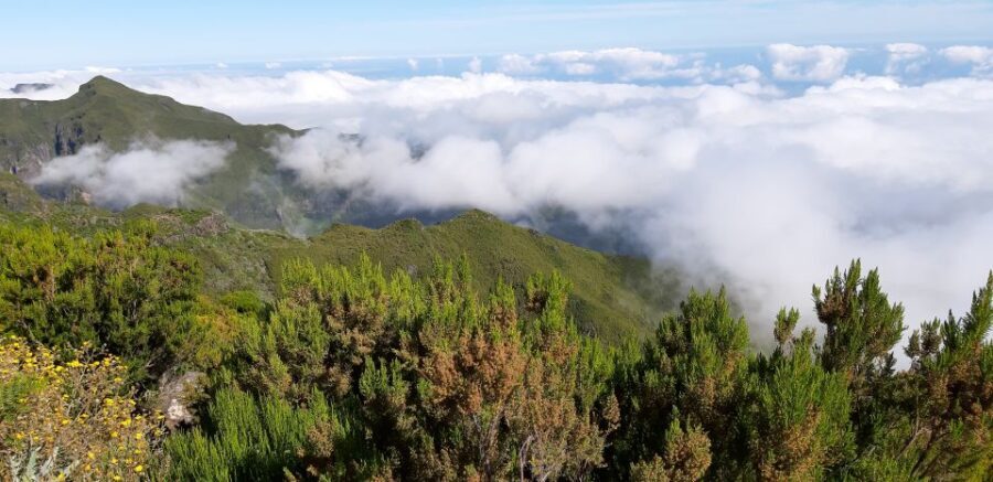 Madeira: Private Guided Achadas Teixeira - Pico Ruivo PR1.1 - Value for Money: Why $117 Can Make Sense Here