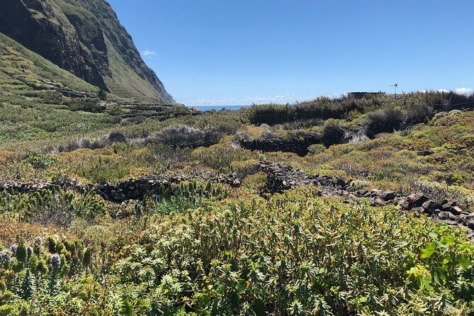 Madeira: Private Guided Half-Day Tour of Northwest Madeira - Guides on Madeira: punctual, helpful, and built for real conversation