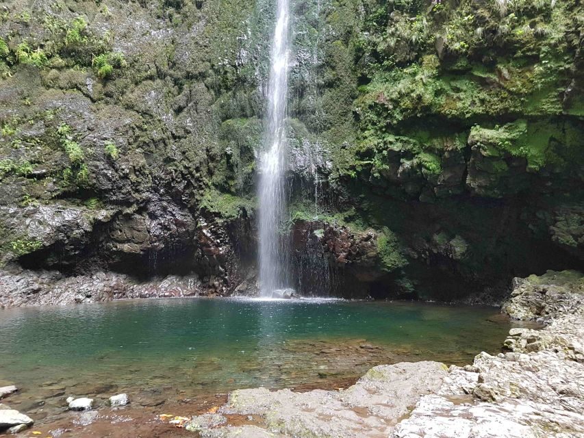 Madeira: Private Guided Levada Caldeirão Verde Walk PR9 - Key highlights you’ll actually feel on PR9