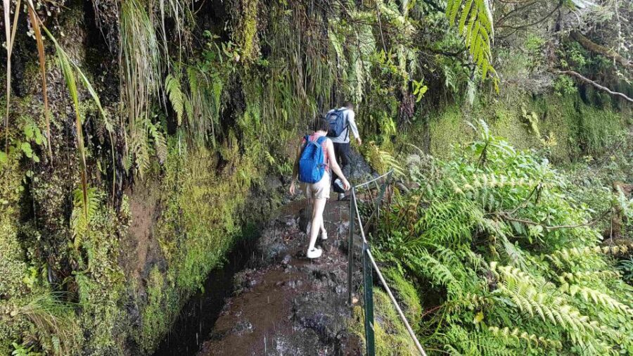 Madeira: Private Guided Levada Caldeirão Verde Walk PR9 - Tunnels, flashlight time, and staying comfortable with heights