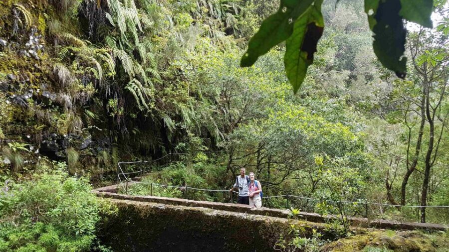 Madeira: Private Guided Levada Caldeirão Verde Walk PR9 - Caldeirão Verde: the waterfall and the cold lagoon moment