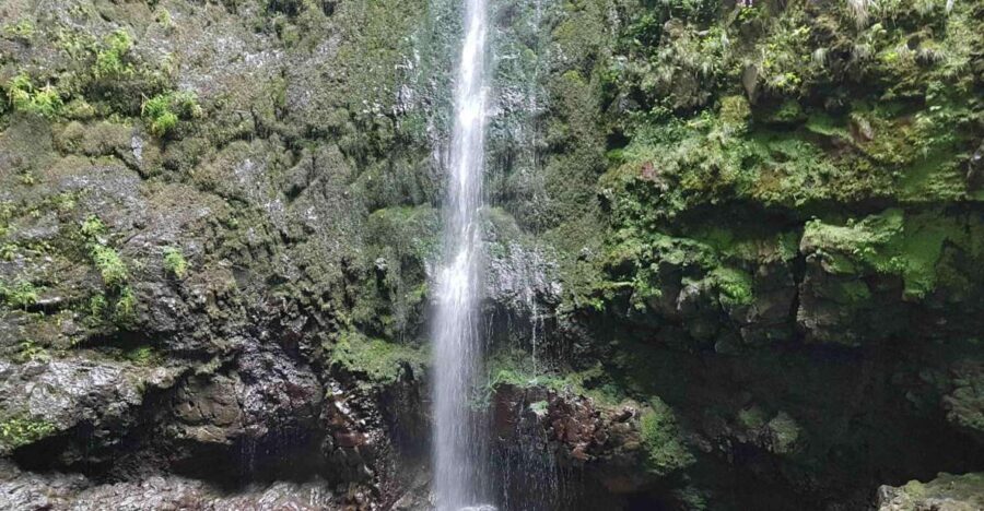 Madeira: Private Guided Levada Caldeirão Verde Walk PR9 - Your route along the levada: green, steep, and always moving