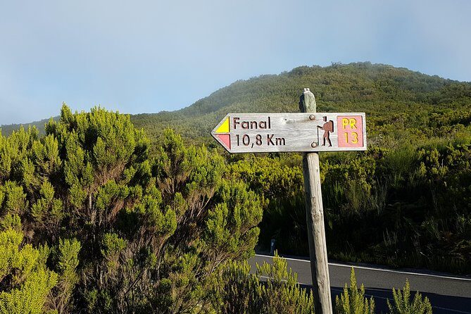 Madeira: Private Guided Walk Vereda Fanal PR13 - Key things to know before you go