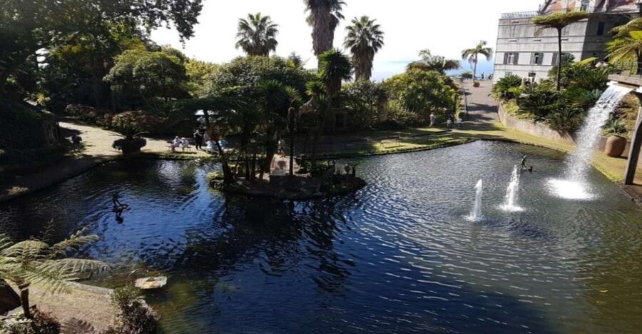 Madeira: Private Half-Day Guided Gardens Tour - Key Highlights Worth Your Time