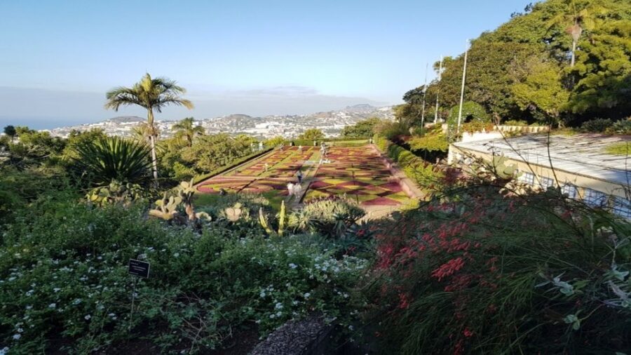 Madeira: Private Half-Day Guided Gardens Tour - Private 4 Hours That Actually Works From a Cruise Port