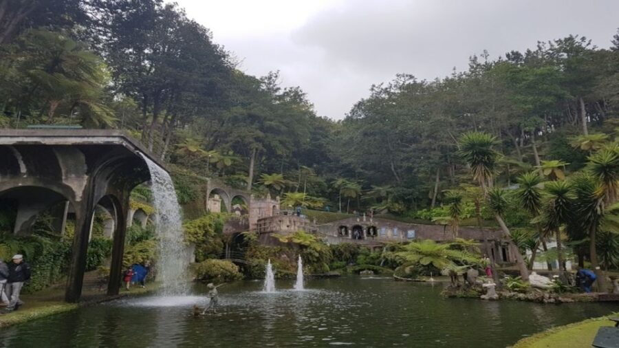 Madeira: Private Half-Day Guided Gardens Tour - Logistics That Keep the Day Easy (Without Turning It Into a Production)