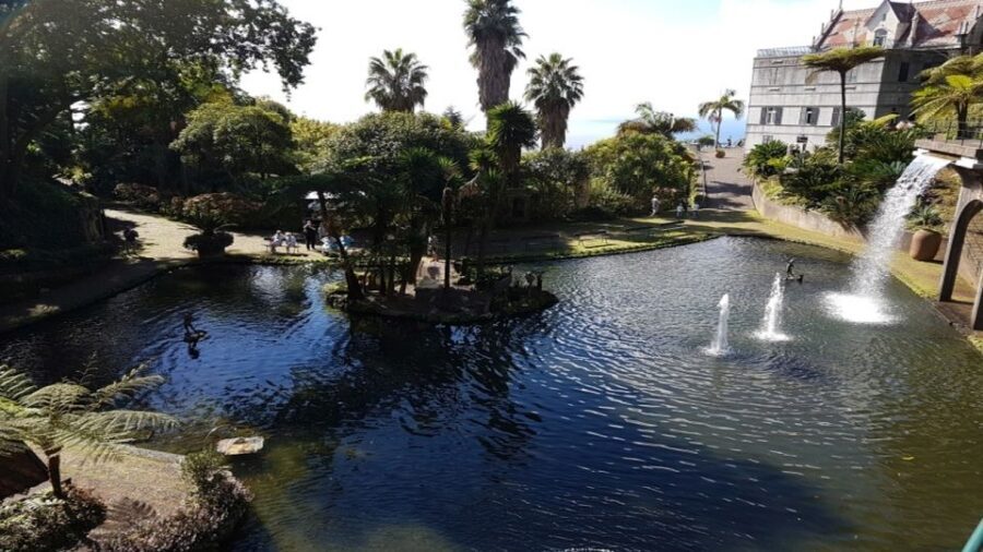 Madeira: Private Half-Day Guided Gardens Tour - Monte Palace Tropical Garden: A 70,000-Square-Meter Plant World With Personality