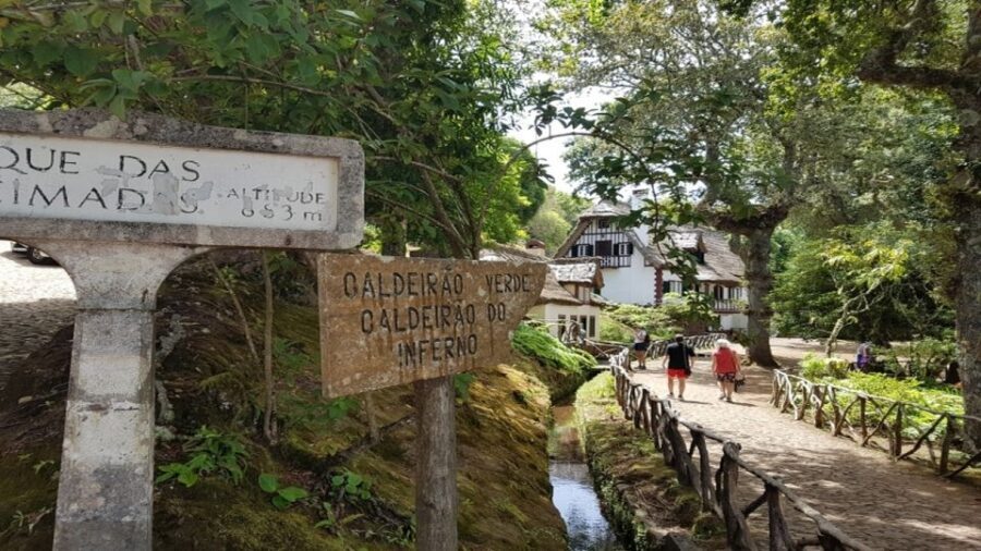 Madeira: Private Half-Day North East Island Tour - Transportation, WiFi, and timing: what a 4 to 4.5-hour tour really means