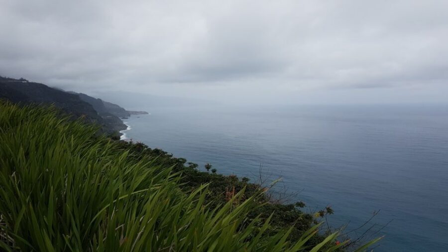 Madeira: Private Half-Day North East Island Tour - Price and value: is $235 per group up to 2 worth it?