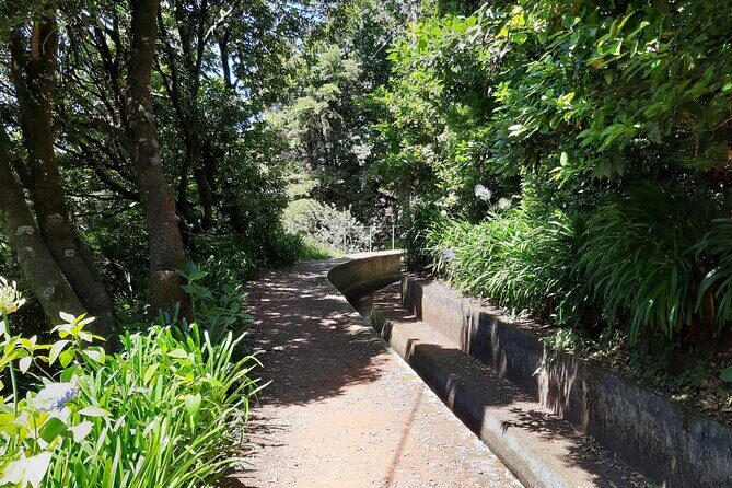 Madeira: Private Laurisilva Tour - The Levadas: When Irrigation Becomes a Real Landscape Feature