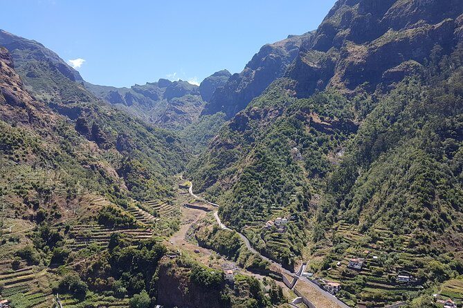 Madeira: Private Laurisilva Tour - A Short Laurisilva Forest Walk: What Makes This Forest Special