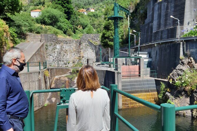 Madeira: Private Laurisilva Tour - What You Get (and What You Don’t)