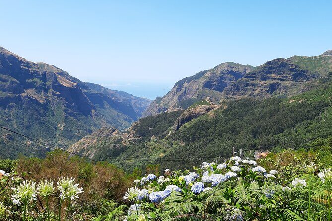 Madeira: Private Laurisilva Tour - Price and Value: $139.63 per Group (Up to 4)