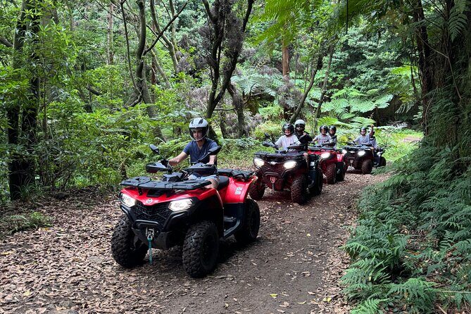 Madeira Private Off-road Quad Bike Experience - Viewpoint Portela: a scheduled lookout stop (and a natural reset)
