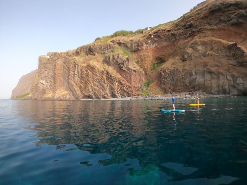 Madeira: Private Paddleboard & Snorkel - Snorkeling on the SUP tour: sea life, not a textbook