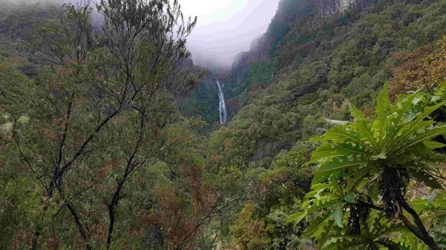 Madeira: Private Walking Tour of Levada das 25 Fontes PR6 - Key Things That Make This Levada Walk Worth Your Time