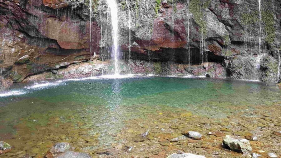 Madeira: Private Walking Tour of Levada das 25 Fontes PR6 - Should You Book This Private PR6 Tour?