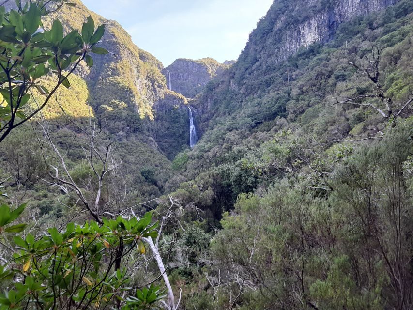 Madeira: Private Walking Tour of Levada das 25 Fontes PR6 - Why the PR6 Walk to 25 Fontes Is More Than a Waterfall Stop