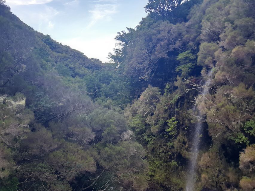 Madeira: Private Walking Tour of Levada das 25 Fontes PR6 - Laurisilva Scenery and the Flora-Fauna Side of the Levadas