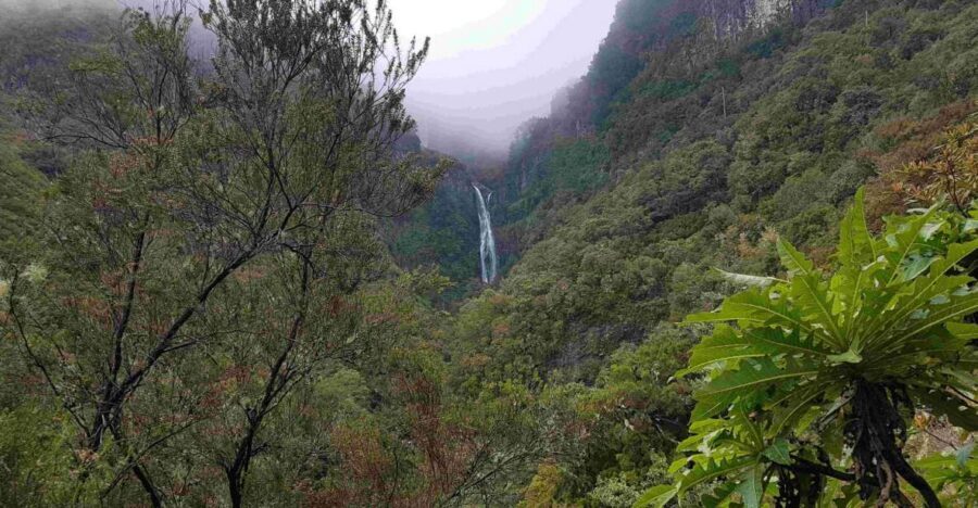 Madeira: Private Walking Tour of Levada das 25 Fontes PR6 - The Tunnel and Water Channels: How to Stay Comfortable and Sure-Footed