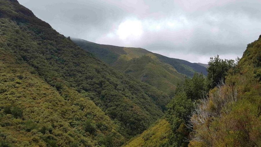 Madeira: Private Walking Tour of Levada das 25 Fontes PR6 - At Levada das 25 Fontes: 25 Waterfalls, a Lagoon, and Viewpoints