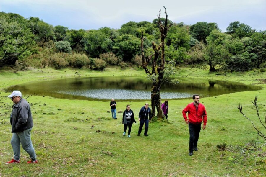 Madeira : Private wine experience by 4WD - Chão da Ribeira and Laurissilva: Waterfalls, Old Cow Sheds, and Green Slopes