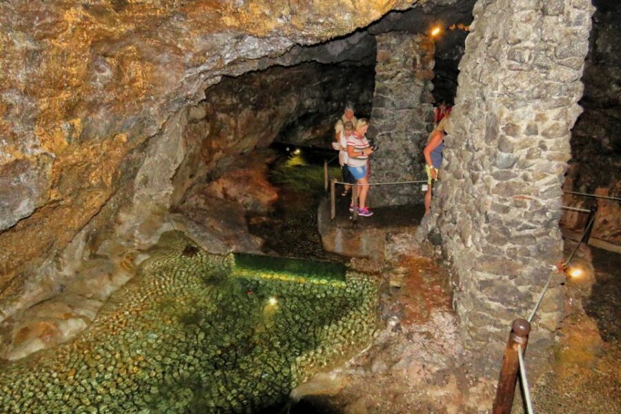 Madeira : Private wine experience by 4WD - Price and What You’ll Actually Pay for Wine and Lunch