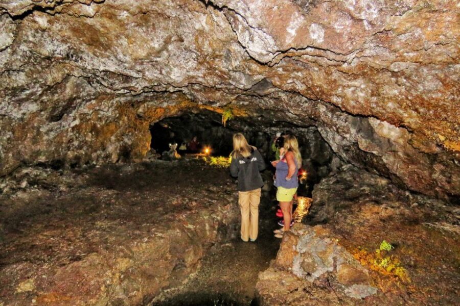 Madeira : Private wine experience by 4WD - Pick-Up Zones and Timing for Cruise Days