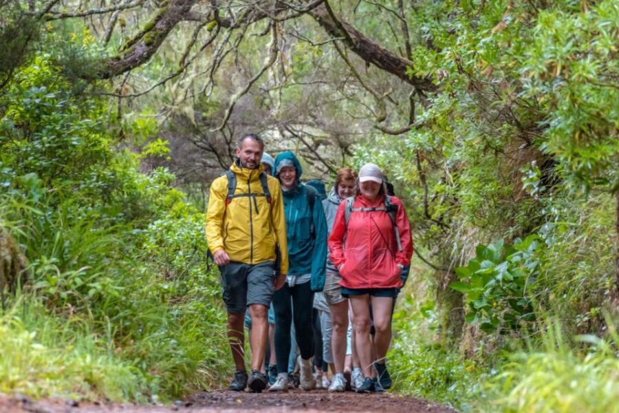 Madeira: Rabaçal 25 Fountains Levada Walk & Cabo Girão - Should You Book This Rabaçal 25 Fontes + Cabo Girão Tour?