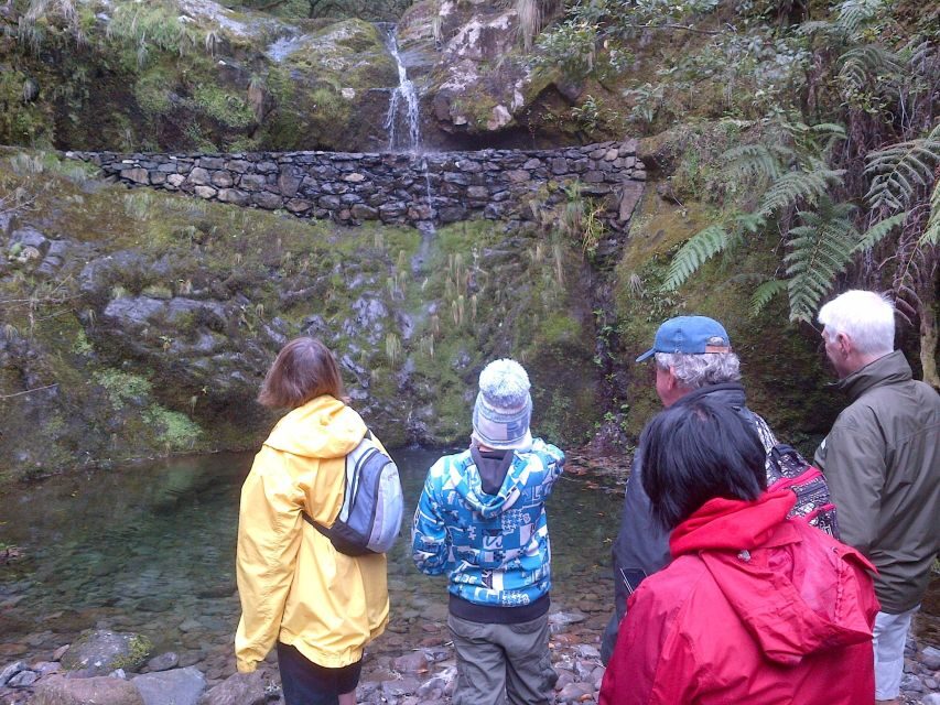 Madeira: Ribeiro Frio to Portela 4-Hour Guided Walk - Key Highlights at a Glance