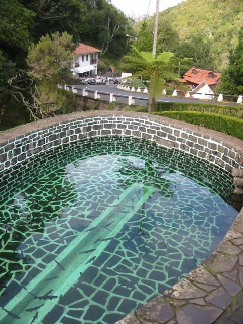 Madeira: Ribeiro Frio to Portela 4-Hour Guided Walk - The Short Trout Farm and Knitting Stalls Stop