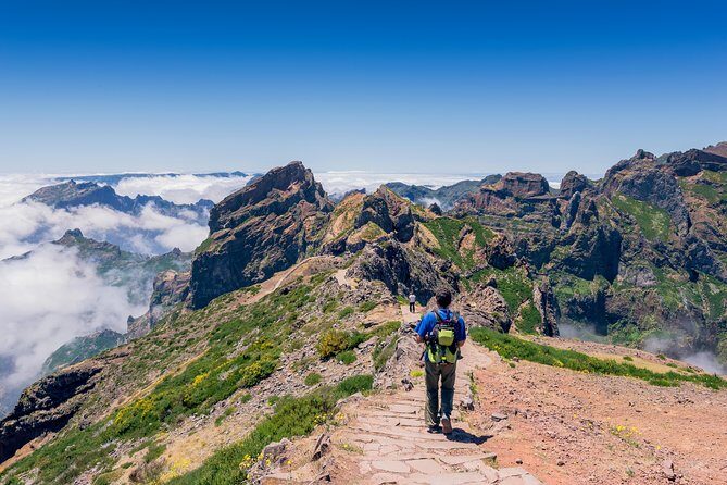 Madeira s highest Peaks - Birdlife and Ninho da Manta: Small Nature Wins at Altitude
