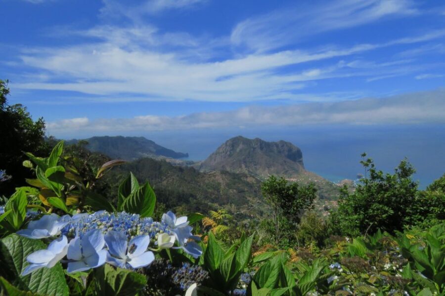 Madeira : Santo de Serra Local Farmers' Market half day trip - Should you book this Santo da Serra market half-day trip?