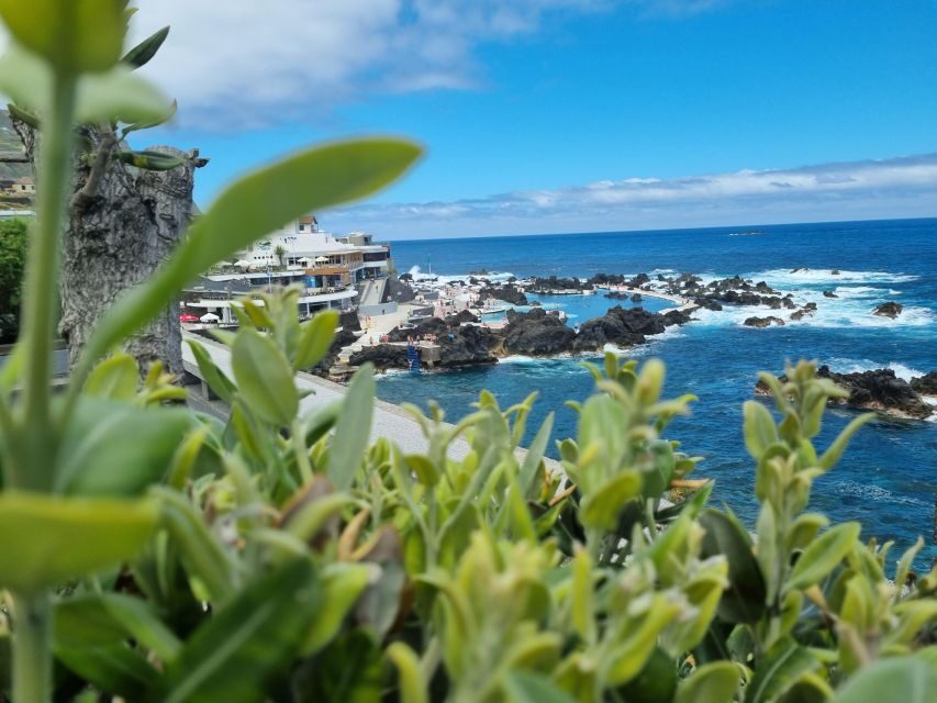 Madeira : SkyWalk, Fanal, Natural Pools 4x4 Jeep Tour - What to bring and how to time your expectations