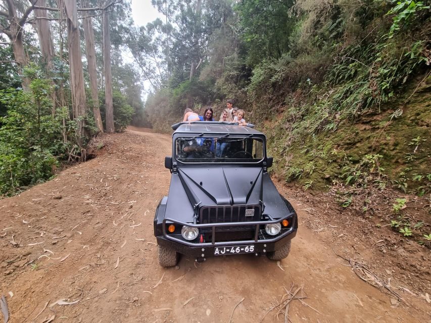 Madeira : SkyWalk, Fanal, Natural Pools 4x4 Jeep Tour - Ribeira da Janela and Seixal: coastline drama with stops you can actually feel