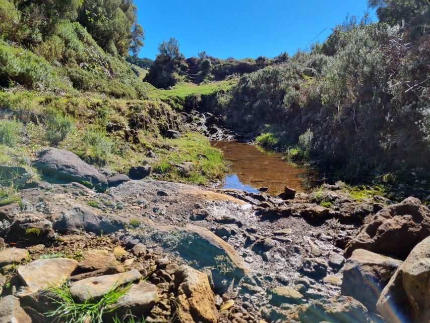 Madeira : SkyWalk, Fanal, Natural Pools 4x4 Jeep Tour - Price and value: what $365 per group really buys