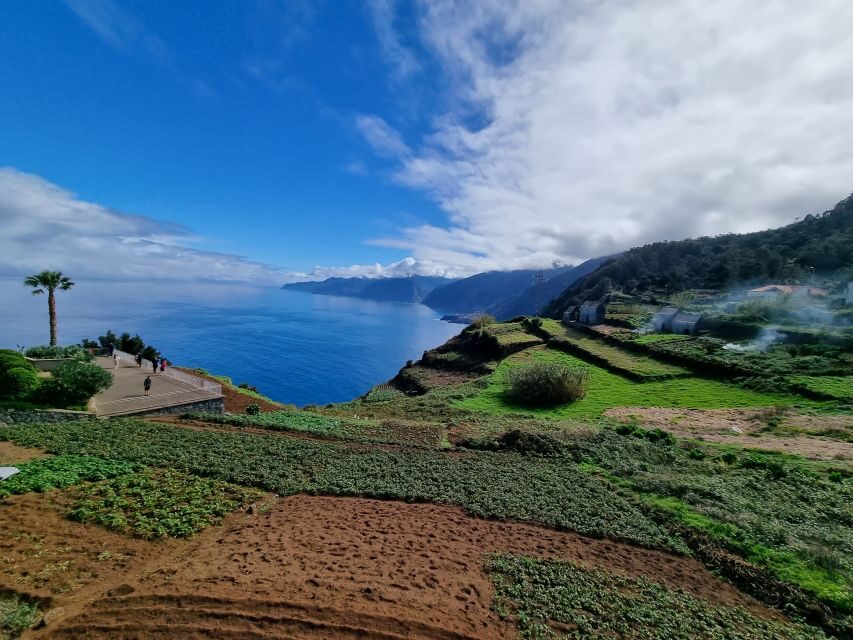 Madeira : SkyWalk, Fanal, Natural Pools 4x4 Jeep Tour - Fanal’s century-old trees: where the guide makes the day