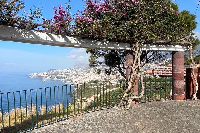 Madeira Special City Tuk Tuk Tour and Viewpoints by MadTuk - Old Town pass-bys: seeing the city without losing the rhythm