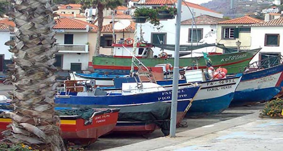 Madeira - Vineyard Tour Wine Tasting - Included - Traditional tapa and snacks: making the tasting easier on your day
