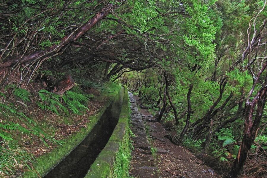 Madeira Walks - Rabaçal and the 25 Fountains - Price and logistics: is $50 good value for the 8-hour experience?