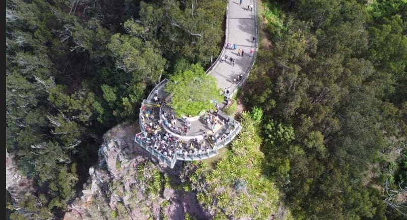 Madeira: West and East Madeira Top Highlights Tour - Small minibus pacing, guide personalities, and the snack factor