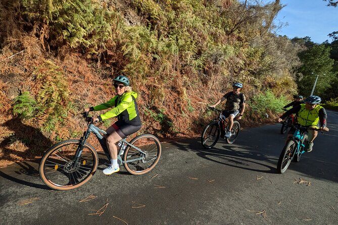 Madeira West Coast E-Bike Tour - Miradouro da Lombada dos Marinheiros: valley carved by water