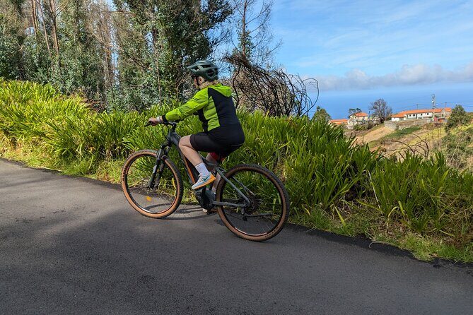 Madeira West Coast E-Bike Tour - Ponta do Pargo: gardens, fruit trees, and a revitalizing village