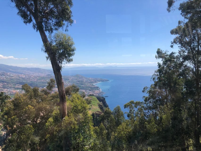 Madeira West Safari - The natural lava pools of Porto Moniz - Price and value: $82 for a full west circuit, not a quick stop
