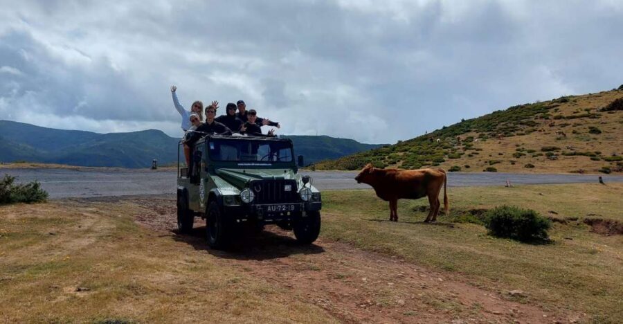 Madeira West Safari - The natural lava pools of Porto Moniz - Open-roof Jeep energy on Madeira’s west roads